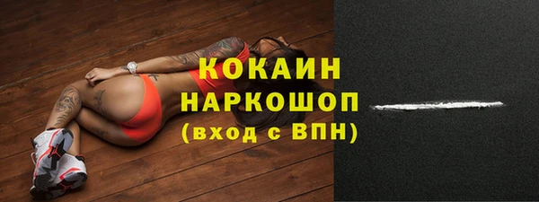 шишки Нестеровская