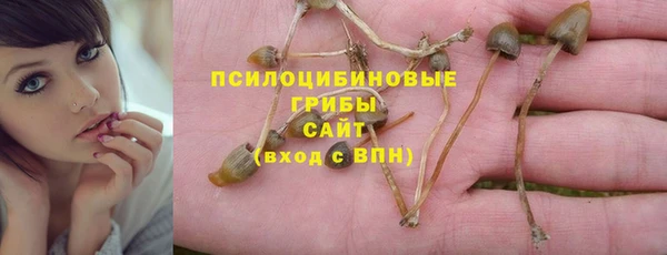 гидропоника Краснослободск