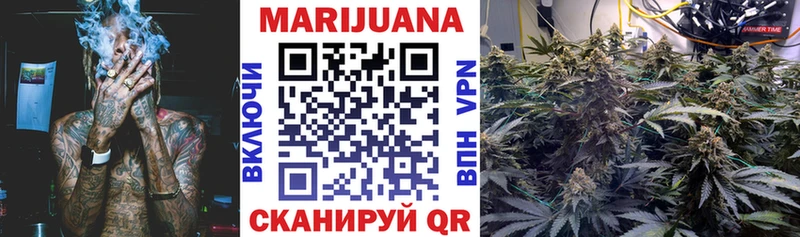 блэк спрут как войти  Назрань  МАРИХУАНА конопля 